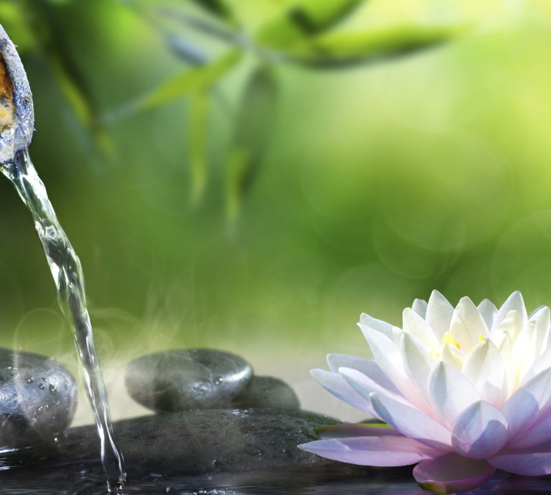 personal growth