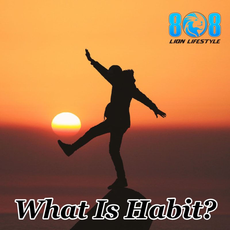 What Is Habit?|Gift Of Perception